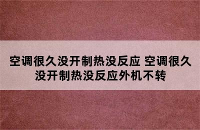 空调很久没开制热没反应 空调很久没开制热没反应外机不转